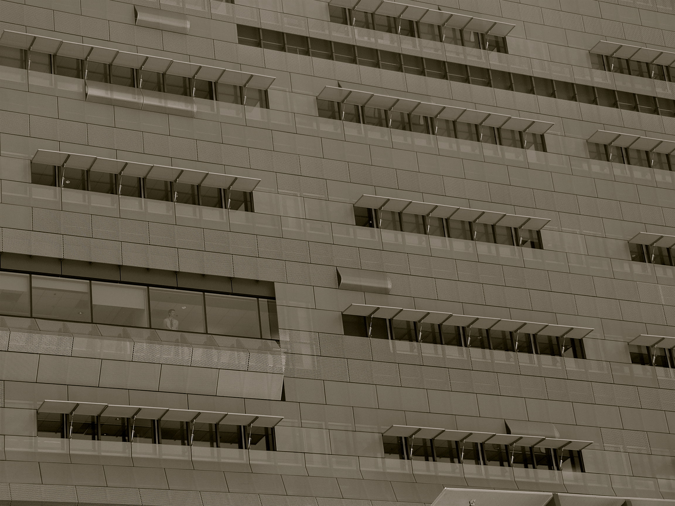 Picture: Tyler Merbler CC BY 2.0