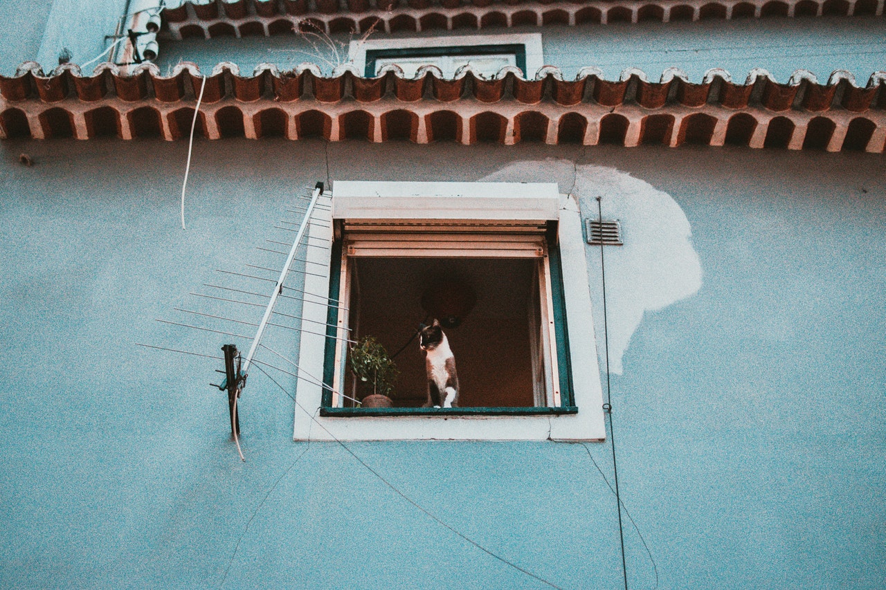 Using long-range Antenna to connect to Public Wi-Fis from a safe distance